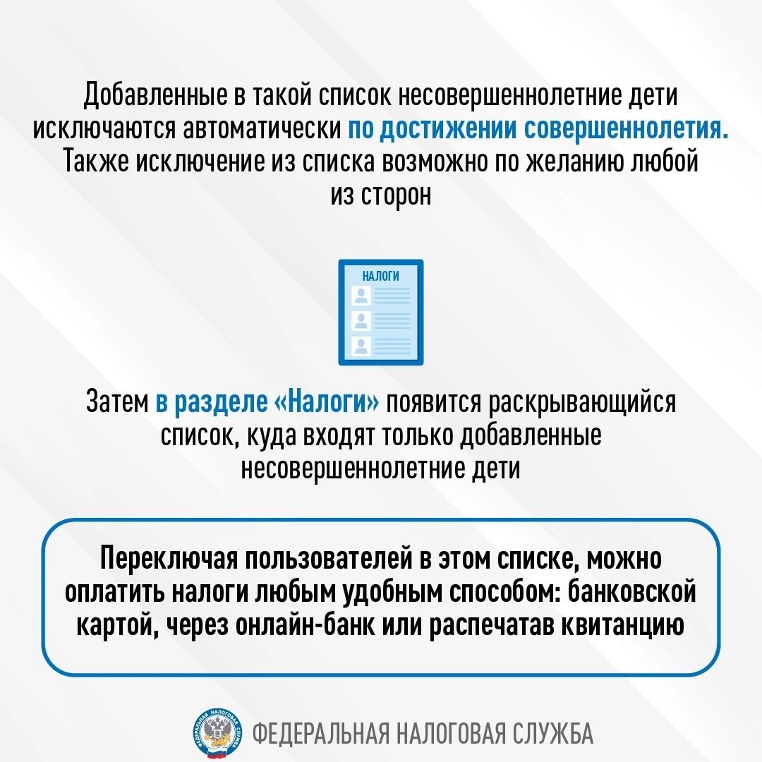 Как заплатить налоги на имущество за несовершеннолетних детей – памятка для  родителей | Усть-Лужское сельское поселение